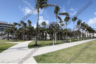 background park Miami 0004